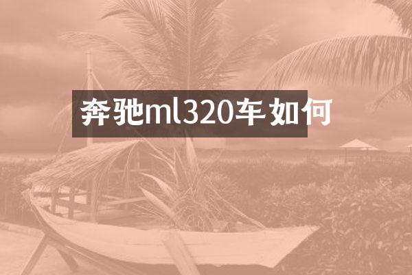 奔驰ml320车如何
