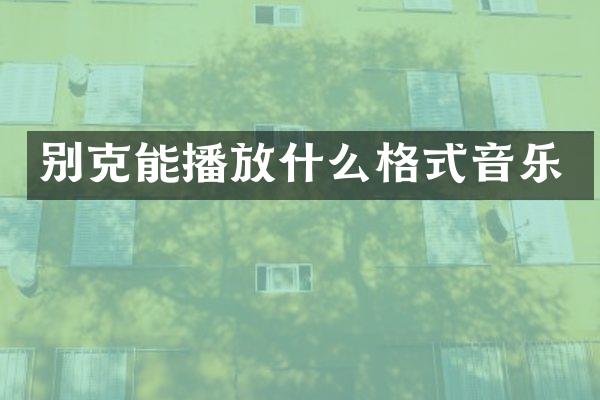 别克能播放什么格式音乐