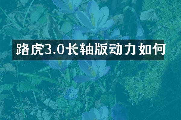 路虎3.0长轴版动力如何