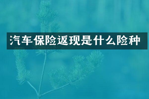 汽车保险返现是什么险种