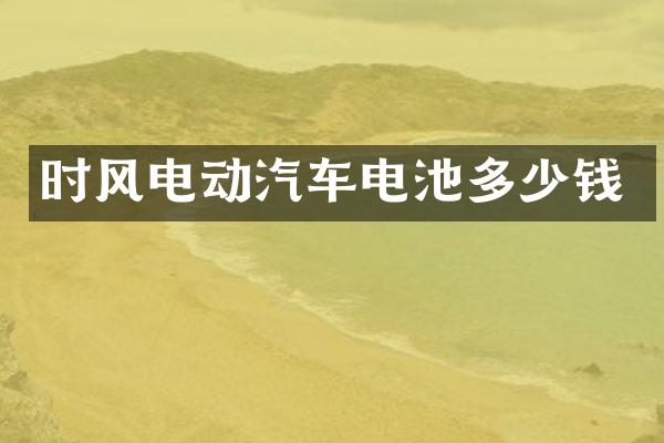 时风电动汽车电池多少钱