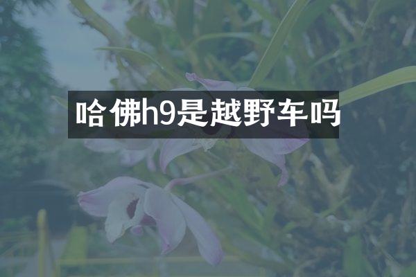 哈佛h9是越野车吗