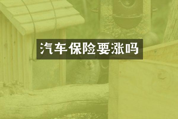 汽车保险要涨吗