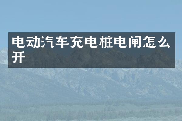 电动汽车充电桩电闸怎么开