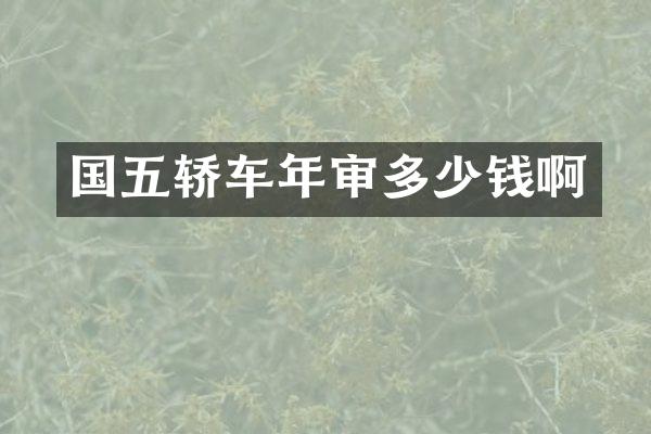 国五轿车年审多少钱啊
