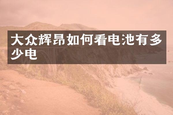 大众辉昂如何看电池有多少电