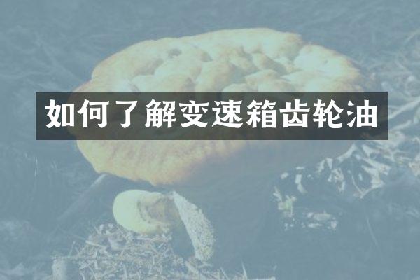 如何了解变速箱齿轮油