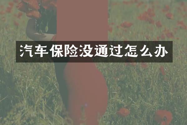 汽车保险没通过怎么办