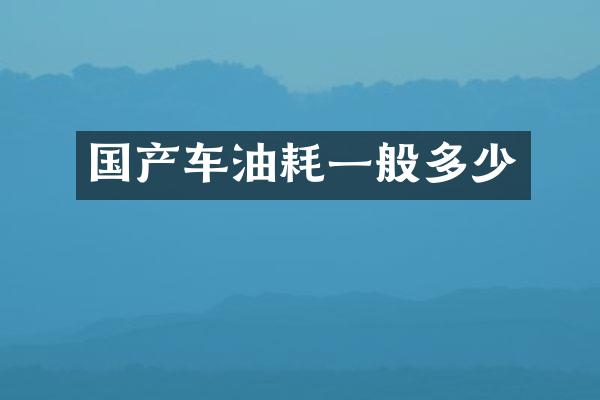 国产车油耗一般多少