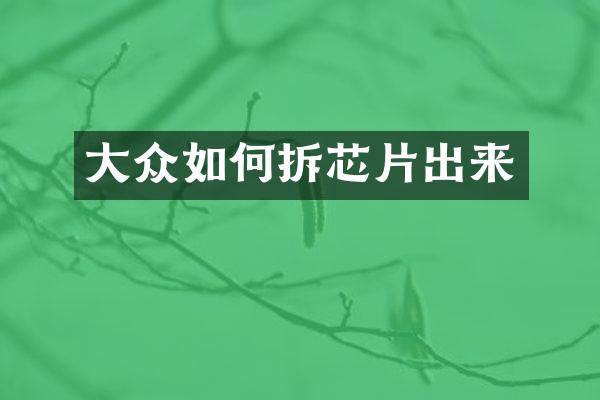 大众如何拆芯片出来
