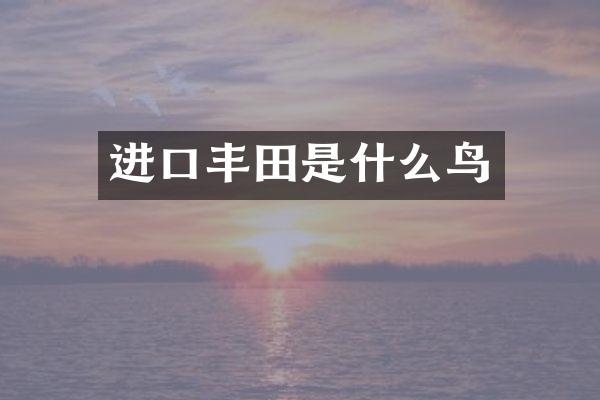 进口丰田是什么鸟