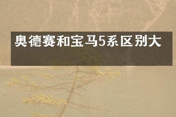 奥德赛和宝马5系区别大吗