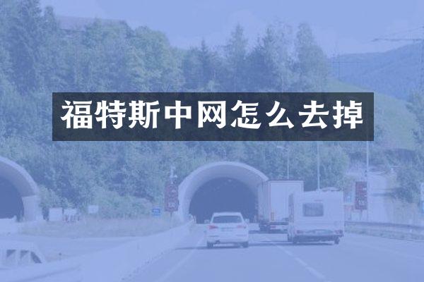 福特斯中网怎么去掉