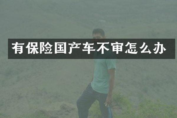 有保险国产车不审怎么办