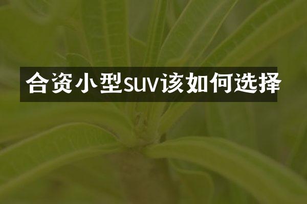 合资小型suv该如何选择