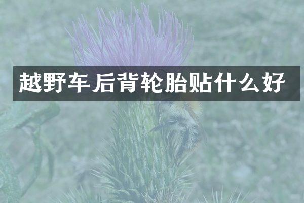 越野车后背轮胎贴什么好