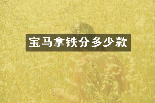 宝马拿铁分多少款