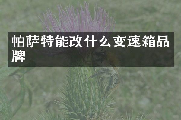 帕萨特能改什么变速箱品牌