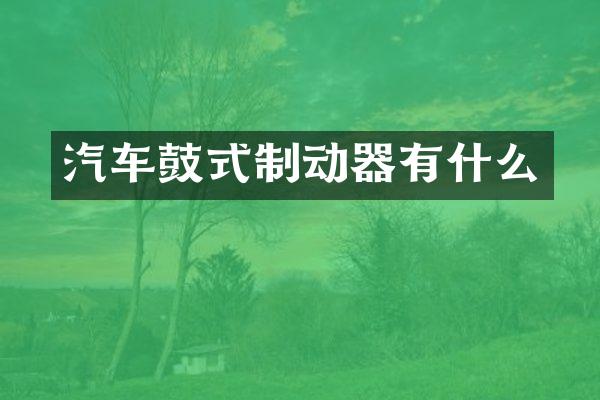 汽车鼓式制动器有什么