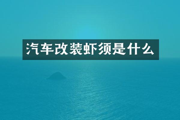 汽车改装虾须是什么