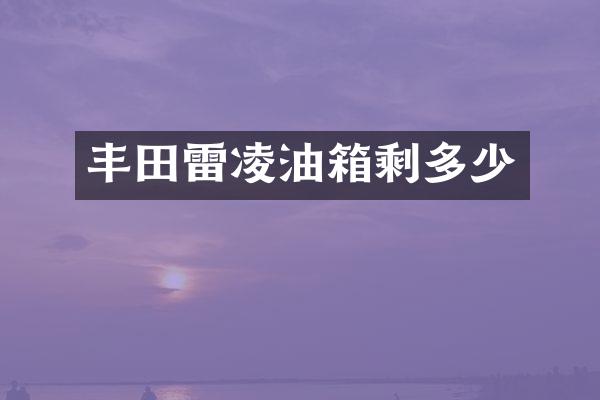 丰田雷凌油箱剩多少