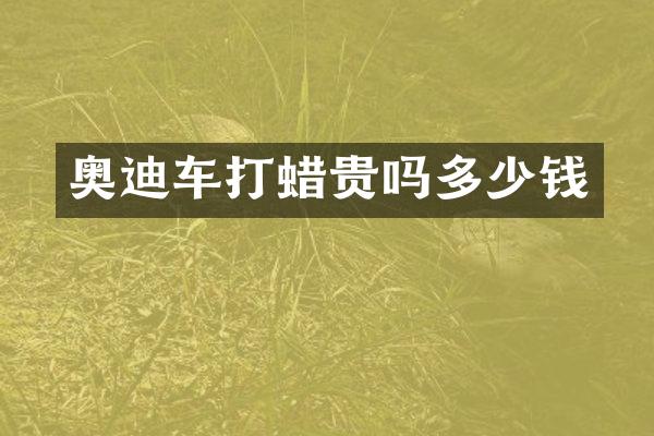 奥迪车打蜡贵吗多少钱