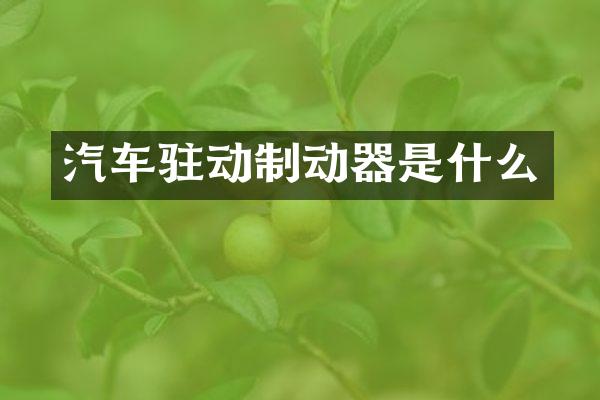 汽车驻动制动器是什么