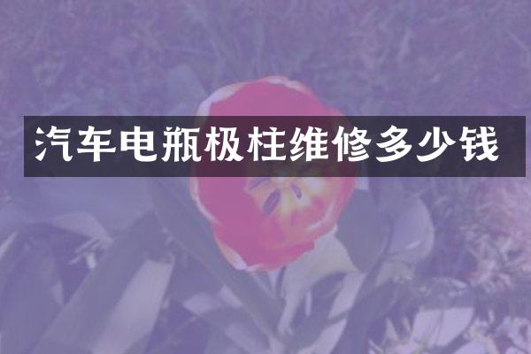 汽车电瓶极柱维修多少钱