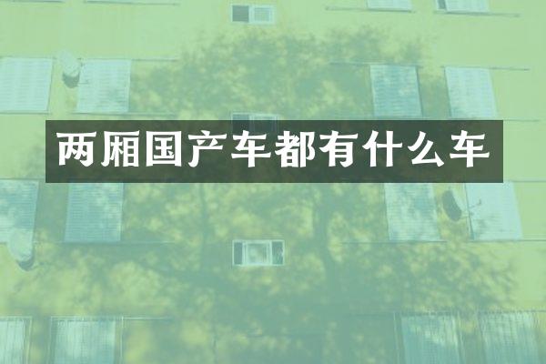 两厢国产车都有什么车