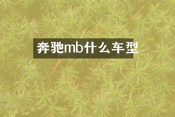 奔驰mb什么车型