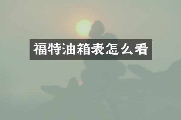 福特油箱表怎么看