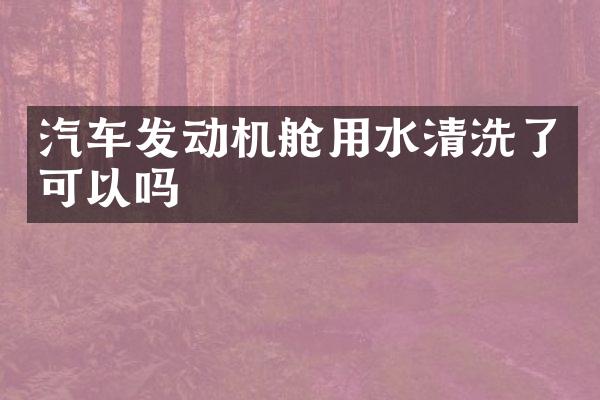 汽车发动机舱用水清洗了可以吗