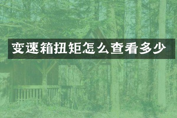 变速箱扭矩怎么查看多少