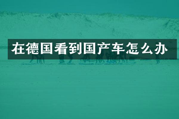 在德国看到国产车怎么办