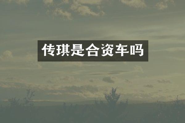传琪是合资车吗
