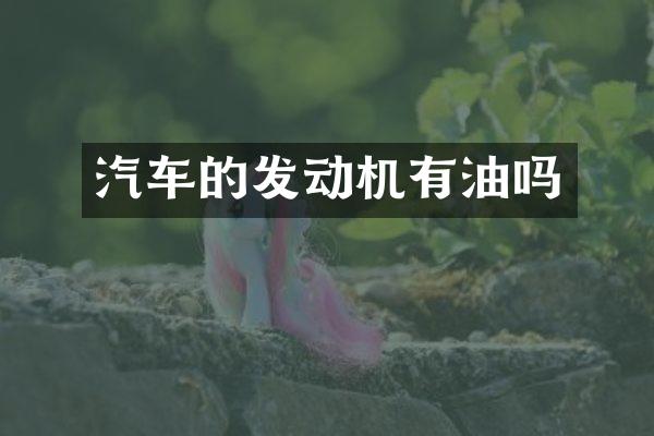 汽车的发动机有油吗