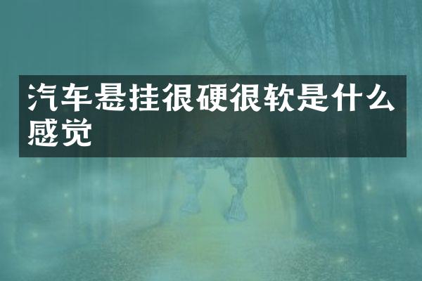 汽车悬挂很硬很软是什么感觉