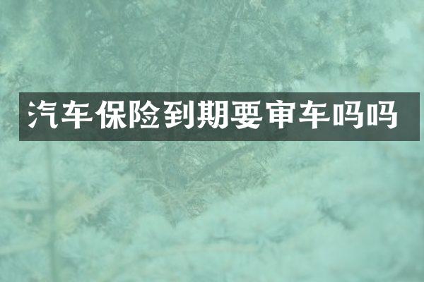 汽车保险到期要审车吗吗