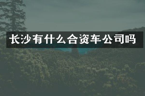 长沙有什么合资车公司吗