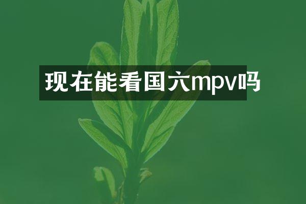 现在能看国六mpv吗