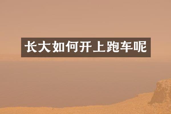 长大如何开上跑车呢