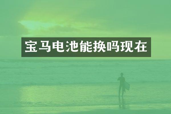 宝马电池能换吗现在