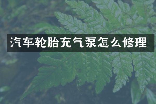 汽车轮胎充气泵怎么修理