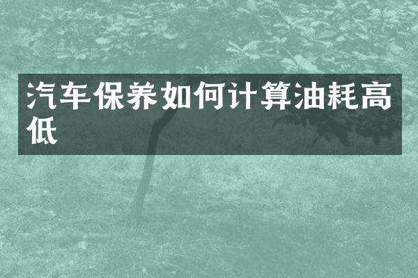 汽车保养如何计算油耗高低