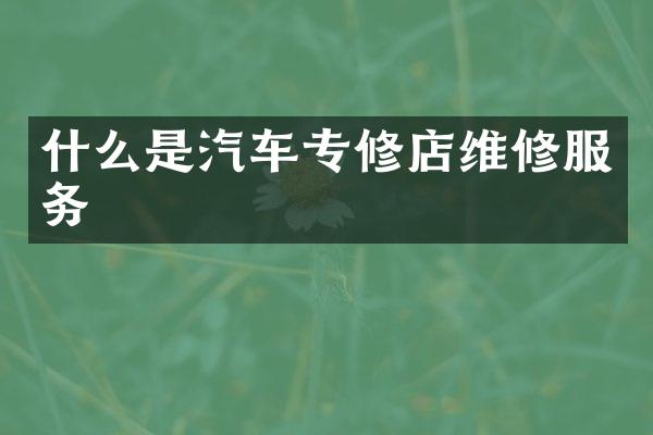 什么是汽车专修店维修服务