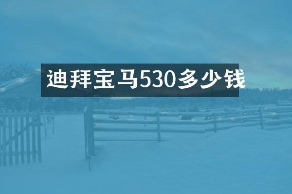 迪拜宝马530多少钱