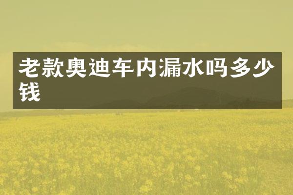 老款奥迪车内漏水吗多少钱