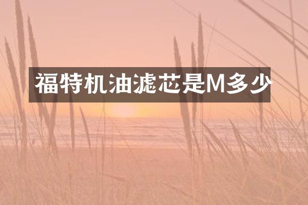 福特机油滤芯是M多少