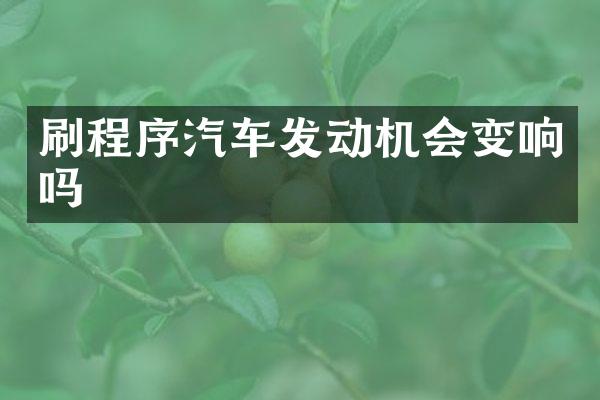 刷程序汽车发动机会变响吗