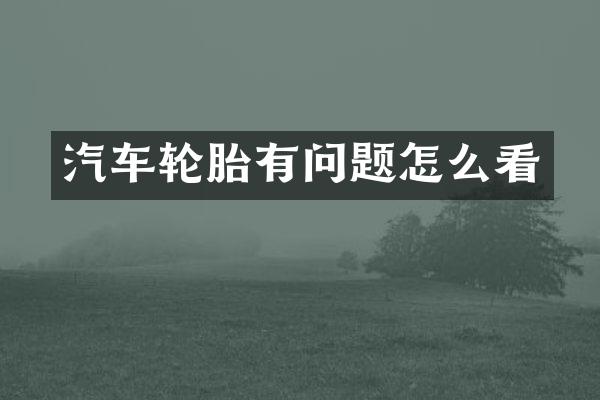 汽车轮胎有问题怎么看